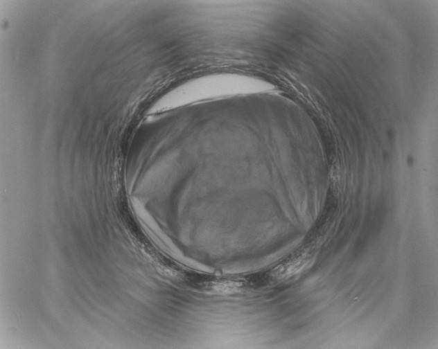 X0000061750462200512302242