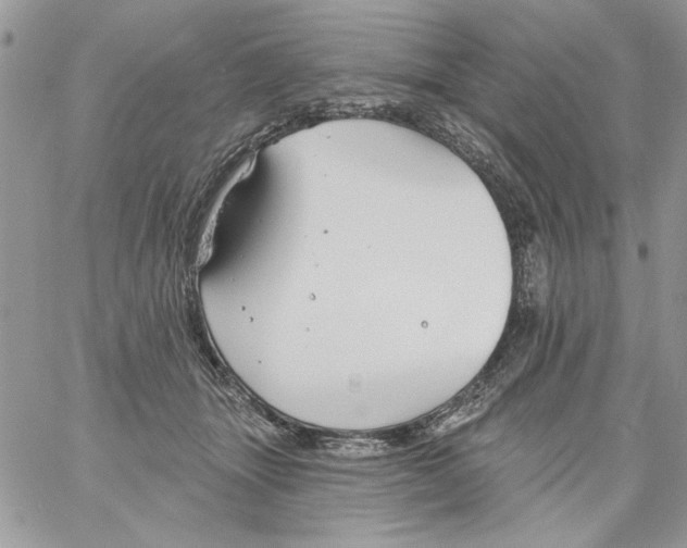 X0000061750463200512302242