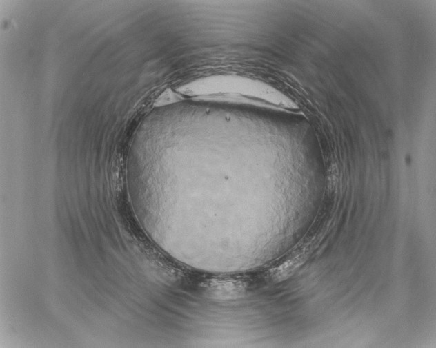 X0000061750464200512302242