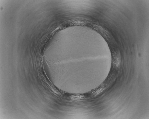 X0000061750465200512302242