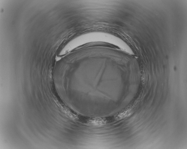 X0000061750466200512302242