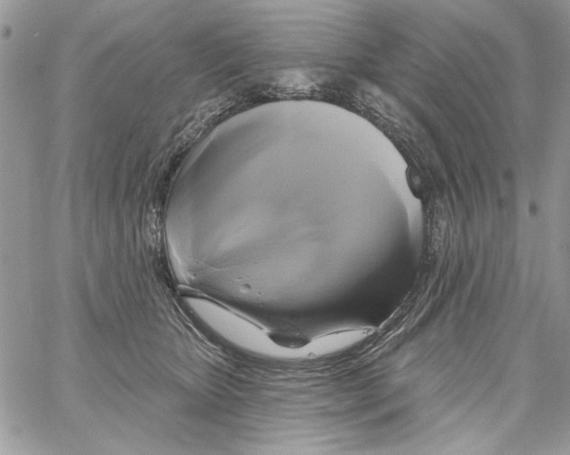 X0000061750467200512302242