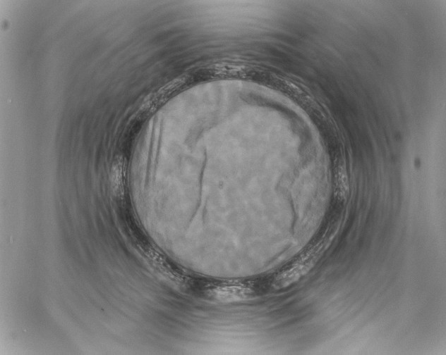 X0000061750468200512302242