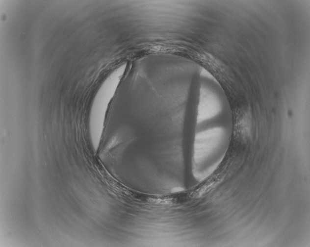 X0000061750469200512302242