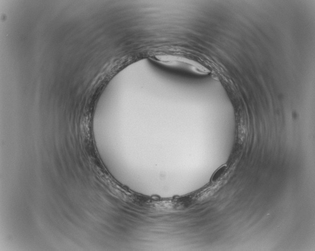 X0000061750473200512302242