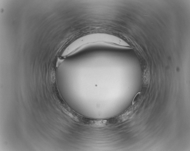 X0000061750474200512302242