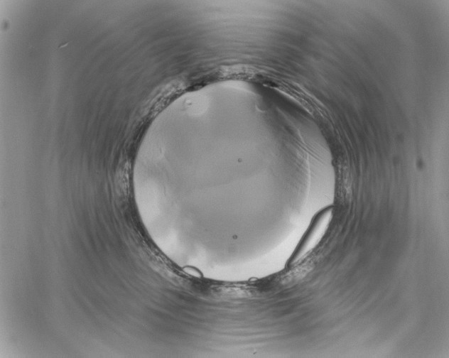 X0000061750475200512302242