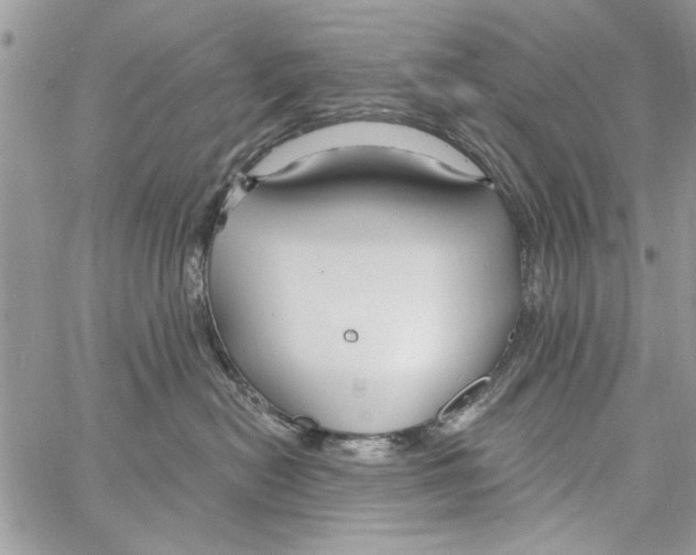 X0000061750478200512302242