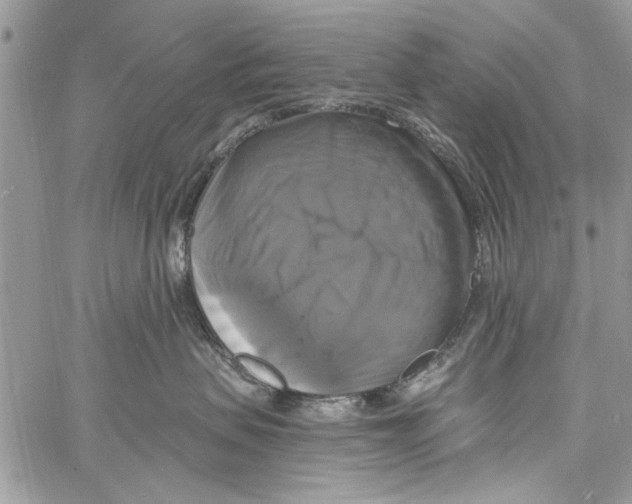 X0000061750479200512302242