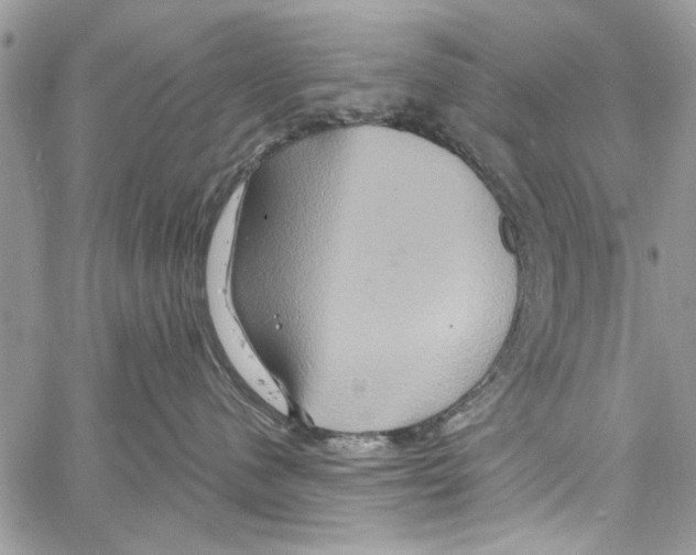 X0000061750480200512302242