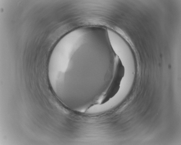 X0000061750481200512302241