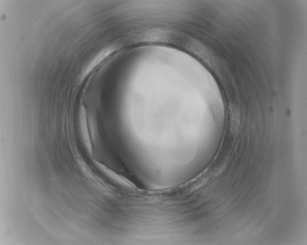 X0000061750482200512302241