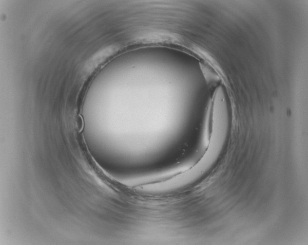 X0000061750485200512302241