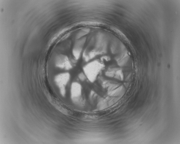 X0000061750487200512302241