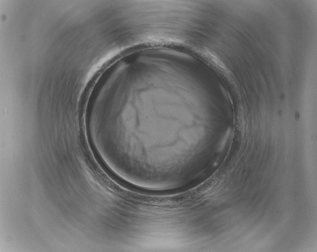 X0000061750488200512302241