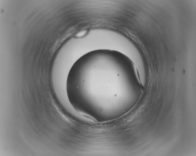 X0000061750489200512302241