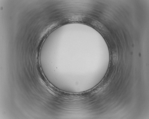 X0000061750490200512302241