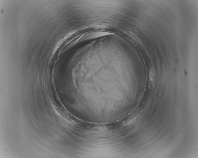 X0000061750492200512302241