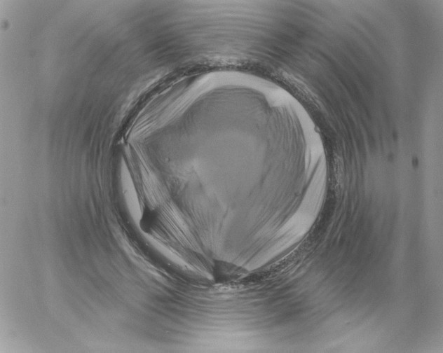 X0000061750494200512302241