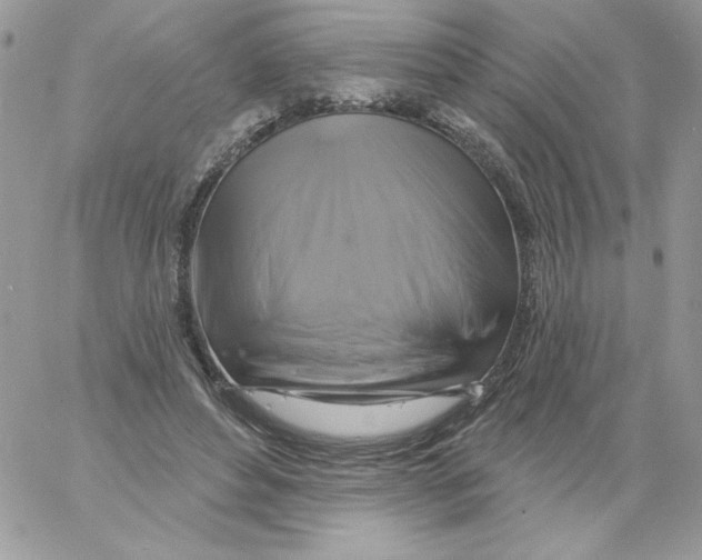 X0000061750496200512302241