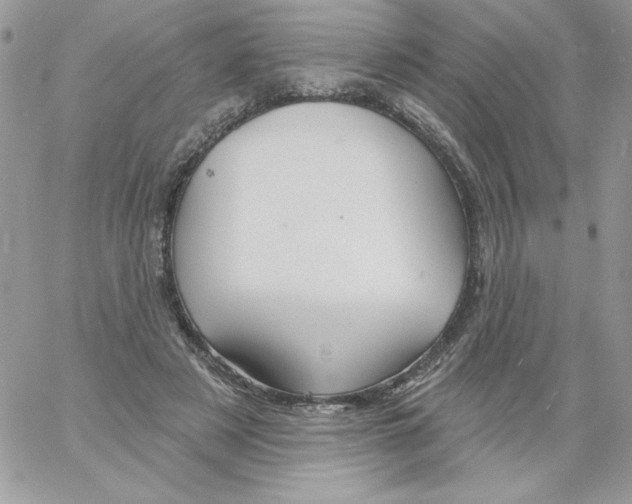 X0000061750497200512302241