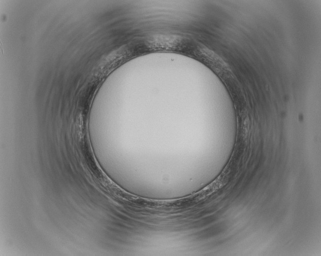 X0000061750498200512302241