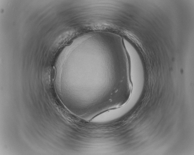 X0000061750501200512302241