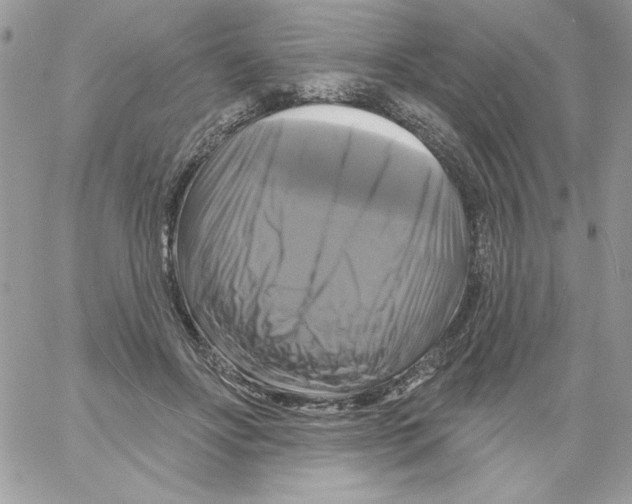 X0000061750502200512302241