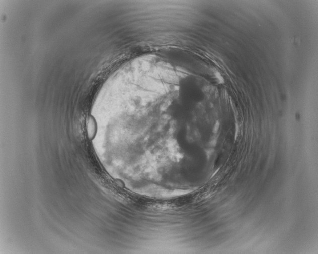 X0000061750503200512302241