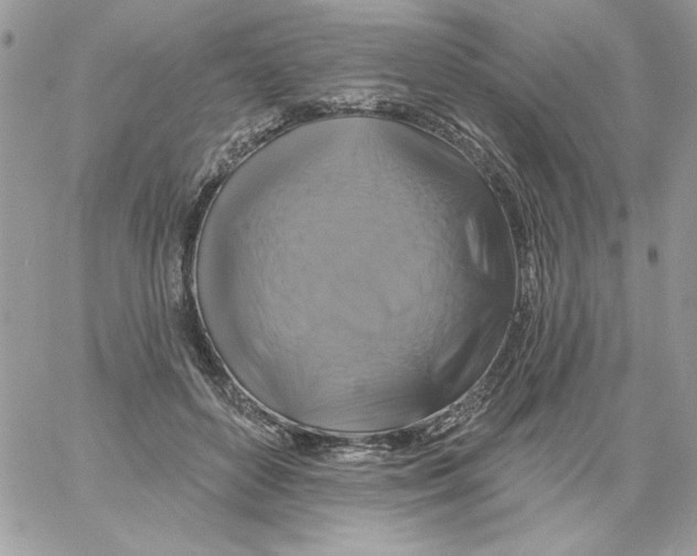 X0000061750504200512302241