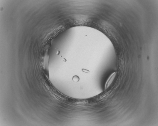 X0000061750505200512302241