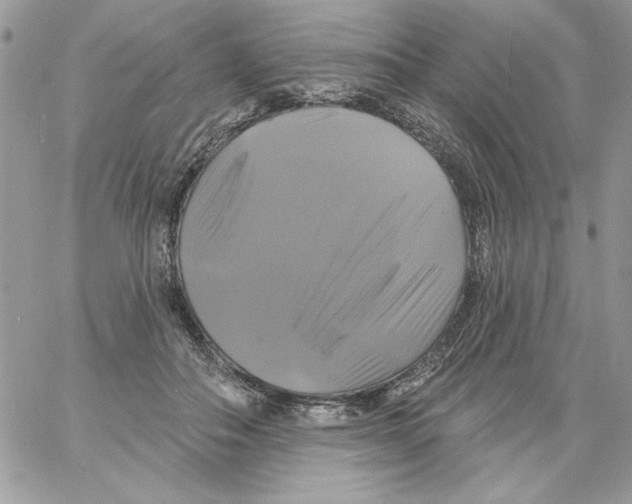 X0000061750506200512302241