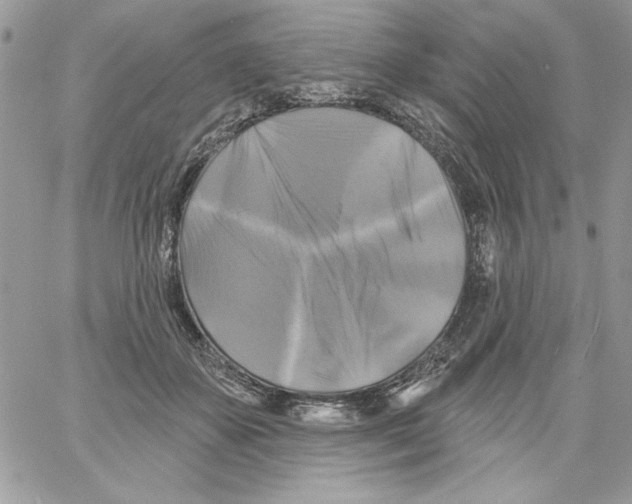 X0000061750507200512302241