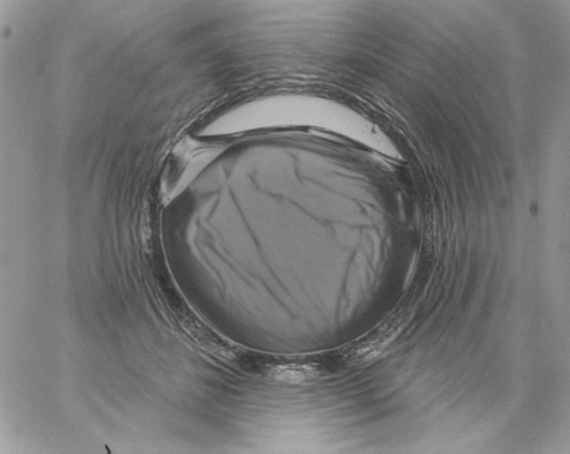 X0000061750508200512302241