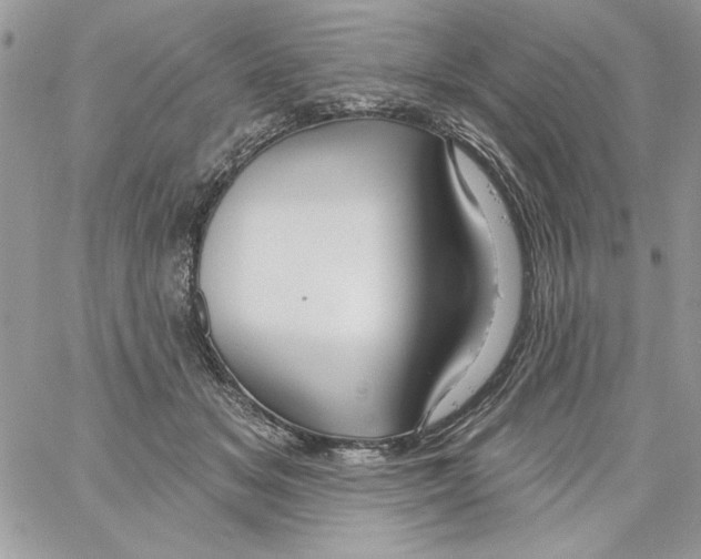 X0000061750509200512302241