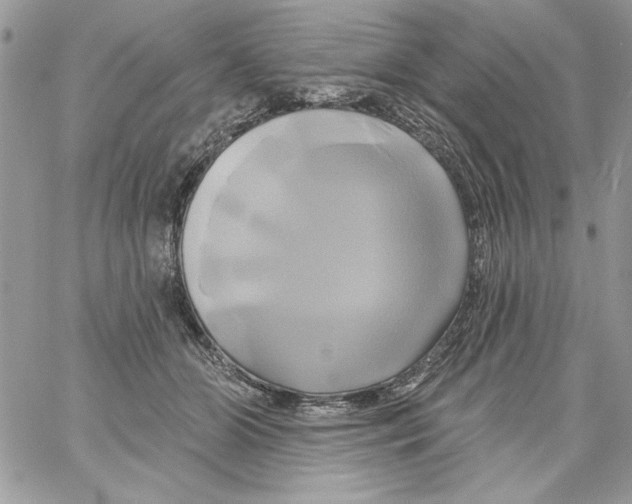 X0000061750510200512302241