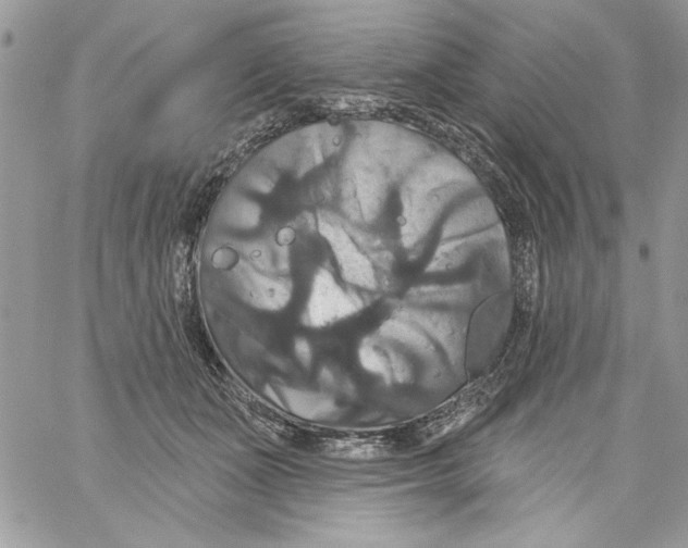 X0000061750511200512302241