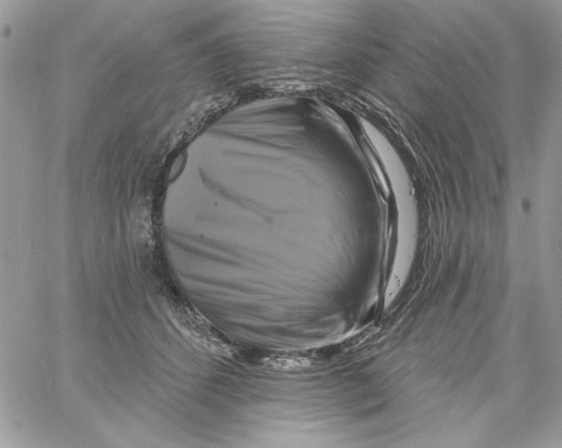 X0000061750512200512302241