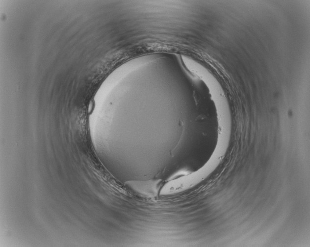 X0000061750513200512302241