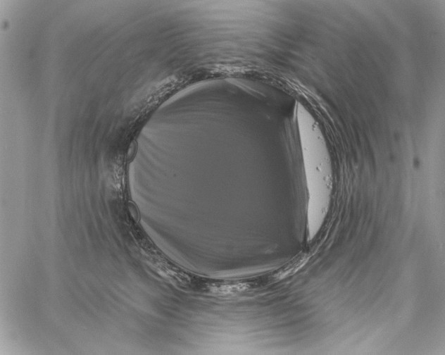 X0000061750517200512302241