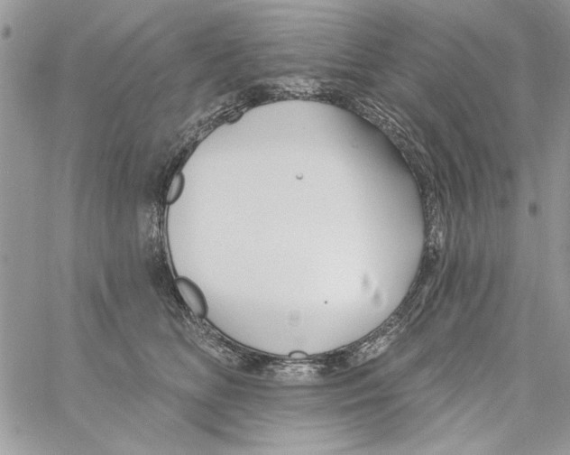 X0000061750518200512302241