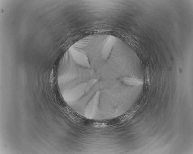 X0000061750519200512302241