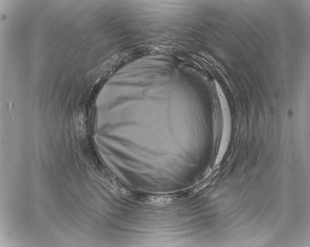 X0000061750520200512302241