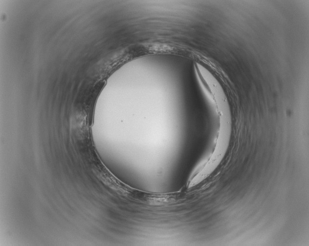 X0000061750521200512302241