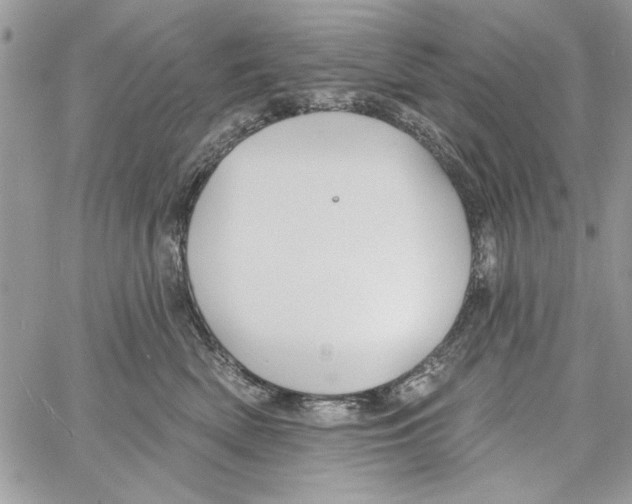 X0000061750522200512302241