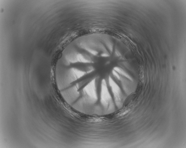 X0000061750523200512302241