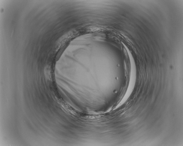 X0000061750524200512302241