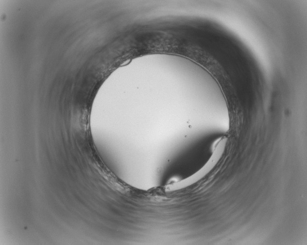 X0000061750525200512302241