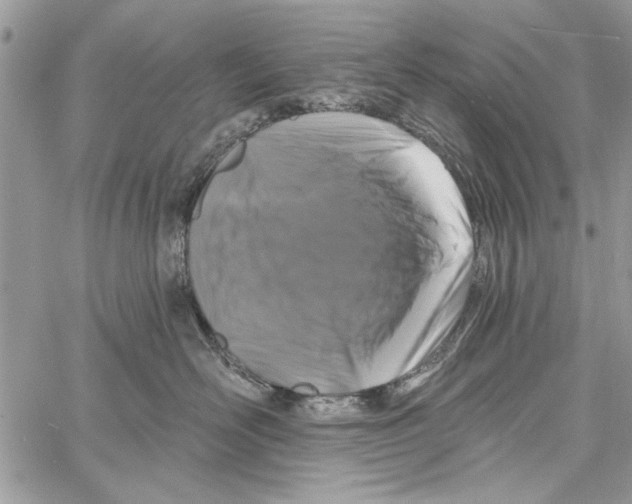 X0000061750526200512302241