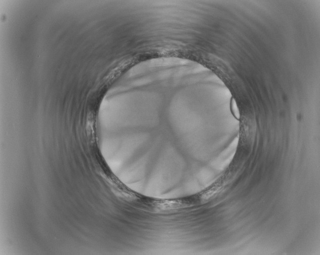 X0000061750527200512302241